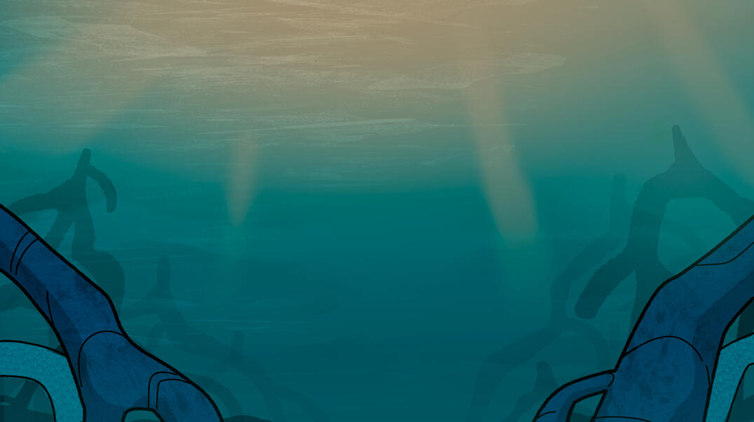 Espírito do Mangue (2025)